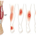 KneeRelief™ — Experience Instant Comfort & Mobility Today!