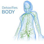 KneeRelief™ — Experience Instant Comfort & Mobility Today!