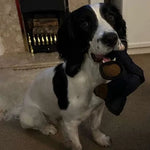 Esslvyshop-Bear™ - Unbreakable Fun for Heavy Chewers! ðŸŽ