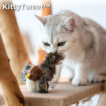 KittyTweet™ — Keep Your Pet Happy with Bird Sounds for Hours!